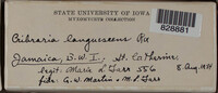 Image Associated With the Occurence